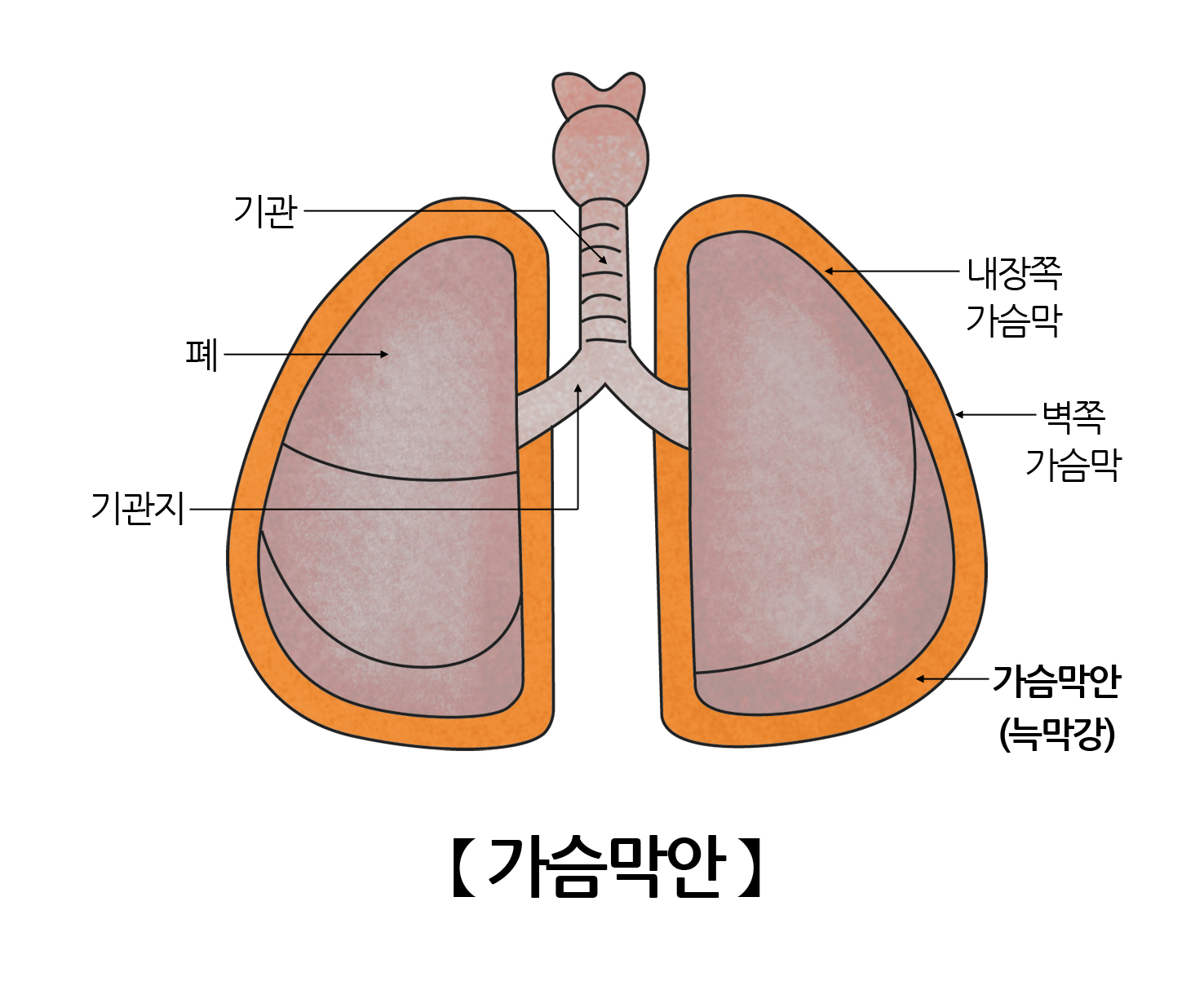 가슴막안